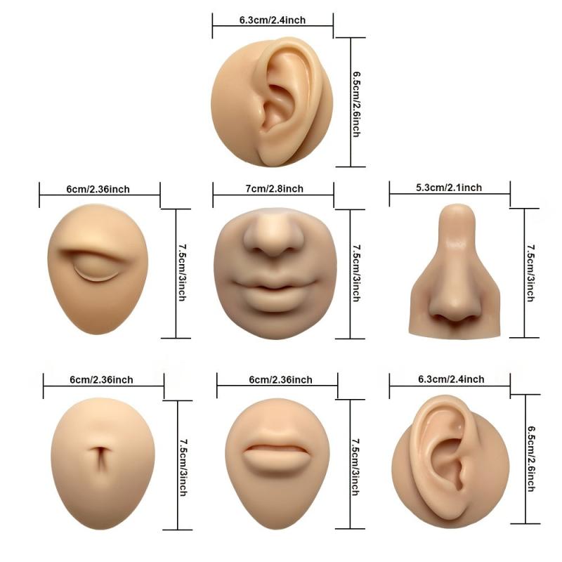 2 pcs 3D Silicone Nose & Ear Model for Piercing Training w/Acrylic Stand