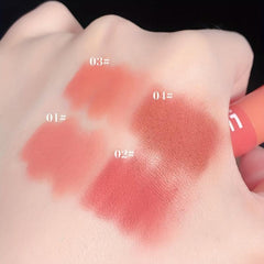 Matte Crayon Lipstick Set 4 Waterproof Velvet Long-lasting Lip Gloss