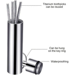 Stainless Steel Toothpicks Pocket Set with Keychain Holder