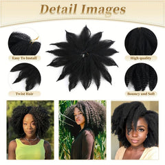 Afro Kinky Crochet Hair Wig for Women