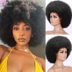 Short Kinky Curly Wig Natural Ombre Synthetic Hair