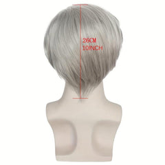 Short Gray Straight Synthetic Cosplay Wig for Halloween