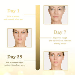 Triple Age Repair Night Cream Vitamin C Wrinkle-Fighting Firming Cream