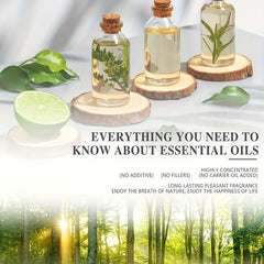 100ml Natural Coconut Essential Oil for Massage Skin Care Aromatherapy