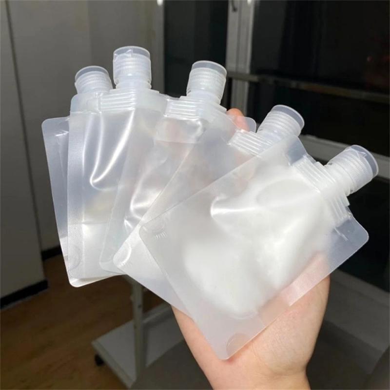 10 pcs Portable Flat Pouch with Paste Bottle Travel Clear Plastic Empty Bag