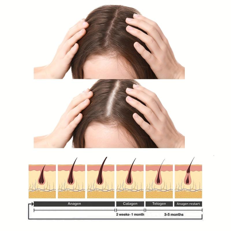 Hair Renewal Cream Vitamins Keratin Biotin Collagen Coconut Hydrating Hair Cream