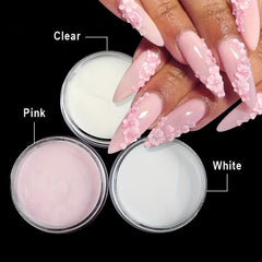 3pcs Acrylic Nail Powder, 3 Brushes, 5 Christmas Nail Stickers