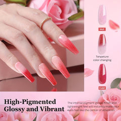 Nail Dip Powder Starter Kit Pink Red Glitter
