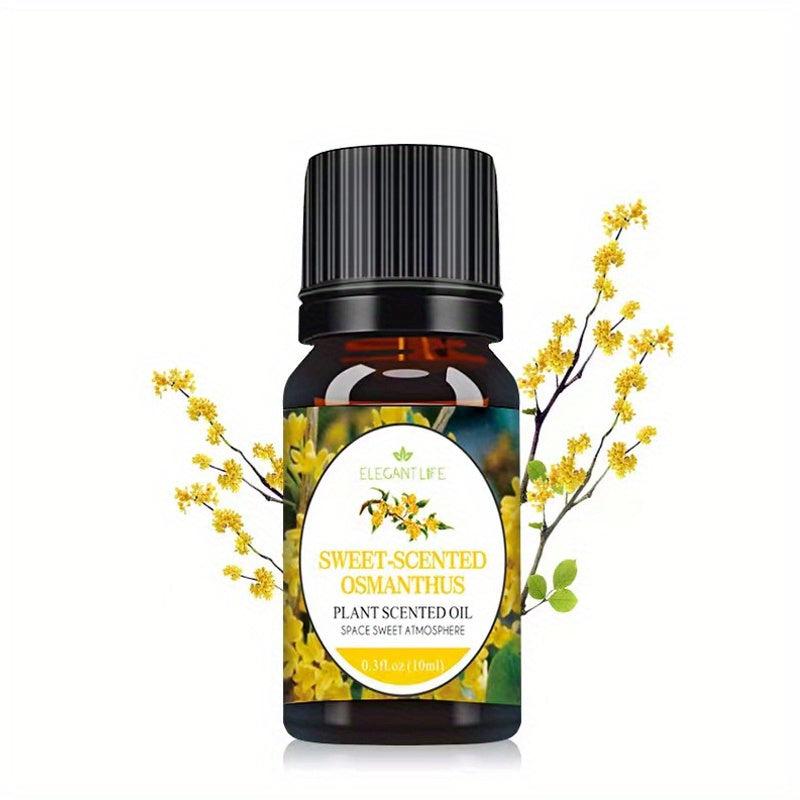 Plant Based Aromatherapy Fragrance for DIY Candle Soap Perfume