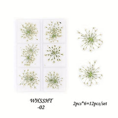 12 Dried Flower Nail Art Charm 3D Sticker For Manicure Decor