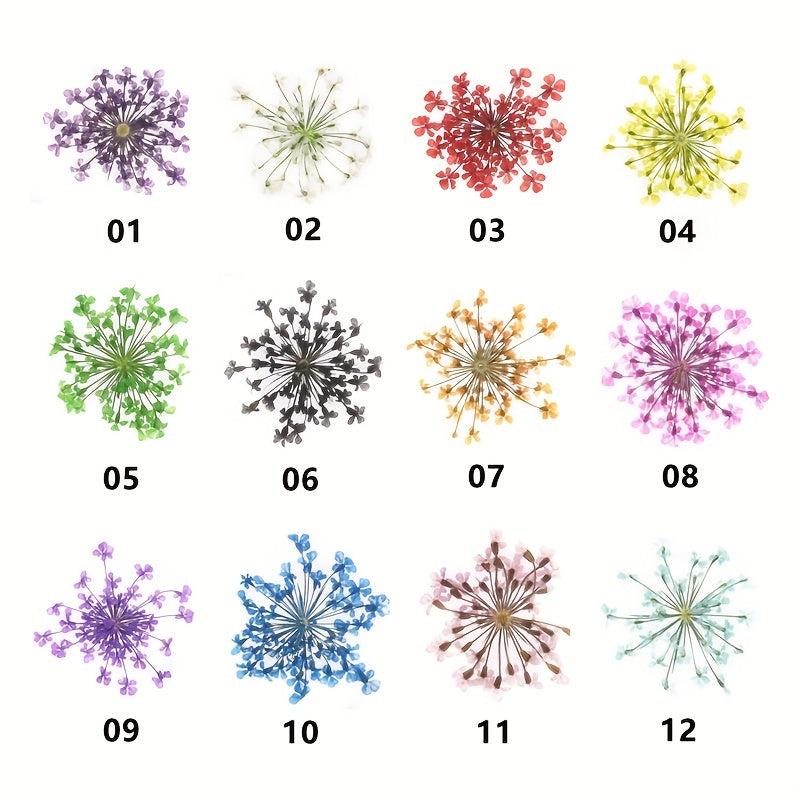 12 Dried Flower Nail Art Charm 3D Sticker For Manicure Decor