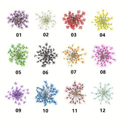 12 Dried Flower Nail Art Charm 3D Sticker For Manicure Decor