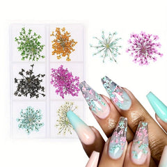 12 Dried Flower Nail Art Charm 3D Sticker For Manicure Decor