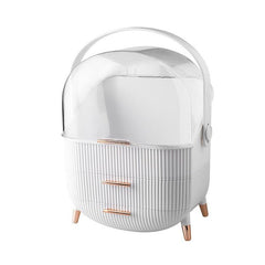 Clear Makeup Organizer with Lipstick and Skincare Holders