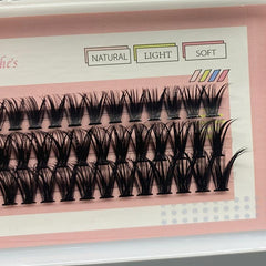 60 Cluster Lashes 40D D Curling Mix 10 12 14mm DIY Eyelash Extension