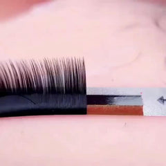 13mm Individual Lashes 0.1mm C Curl Long False Eyelashes