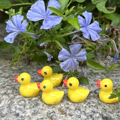 Ducking Love You Pocket Duck Hug Cheer Up Card with Mini Resin Duck