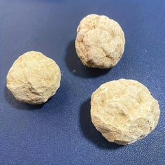 Natural Quartz Geode: Unopened, Science Education & Healing