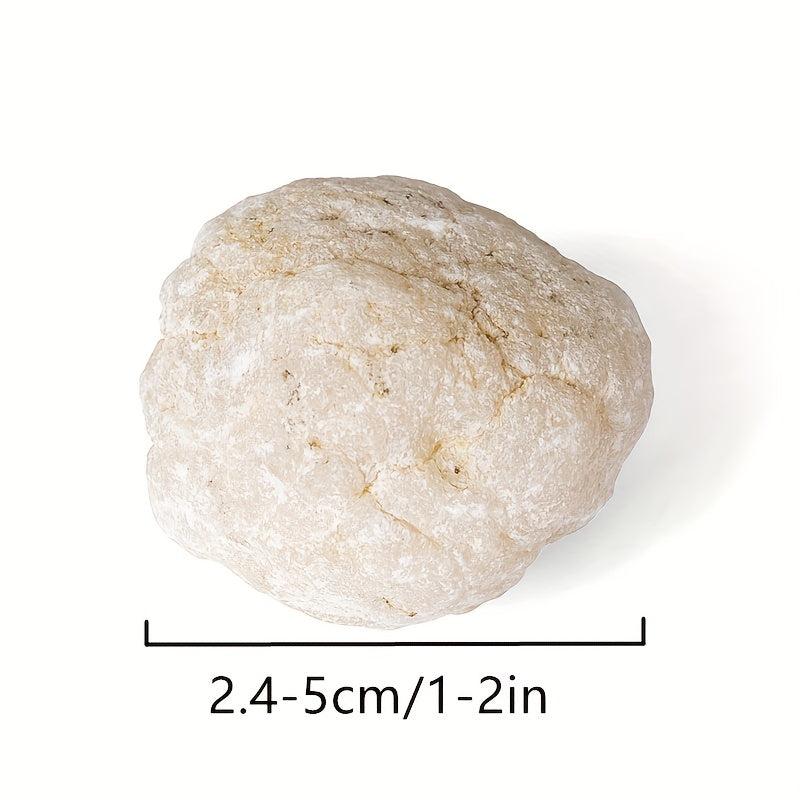 Natural Quartz Geode: Unopened, Science Education & Healing