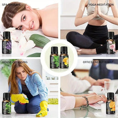 6pcs Aromatherapy Essential Kit Rose Mint 10ml