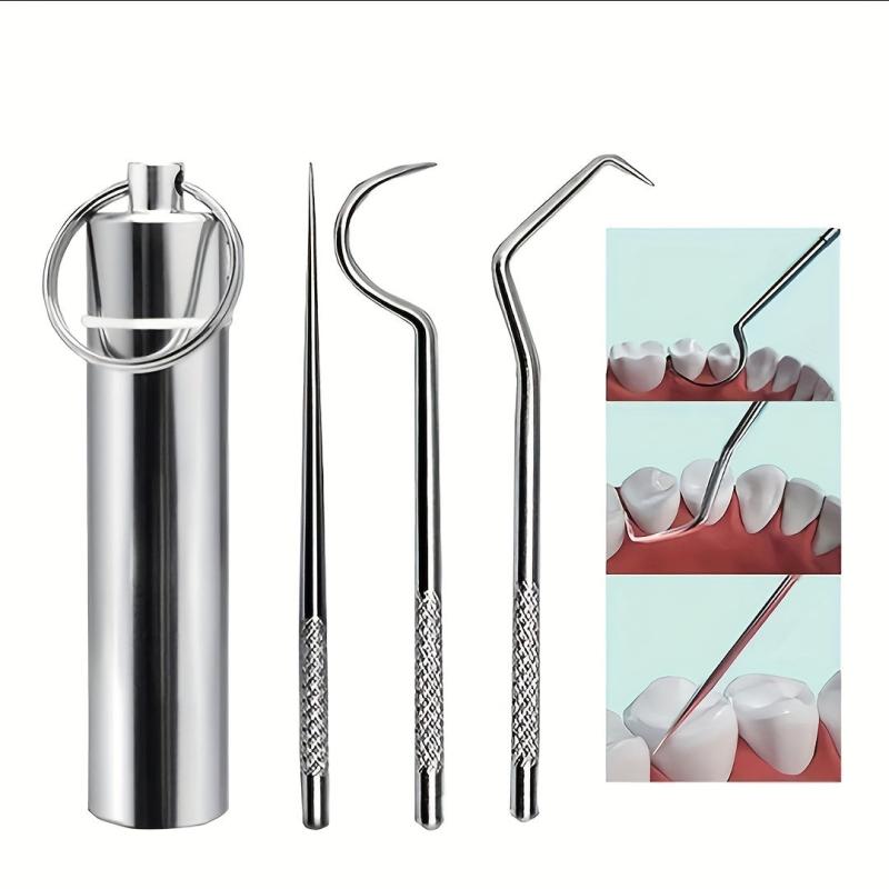 6 Pcs Stainless Steel Toothpick Set with Storage Tube