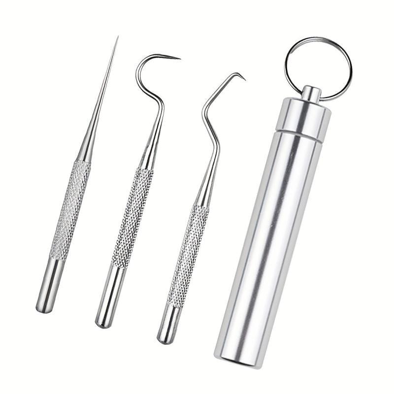 6 Pcs Stainless Steel Toothpick Set with Storage Tube