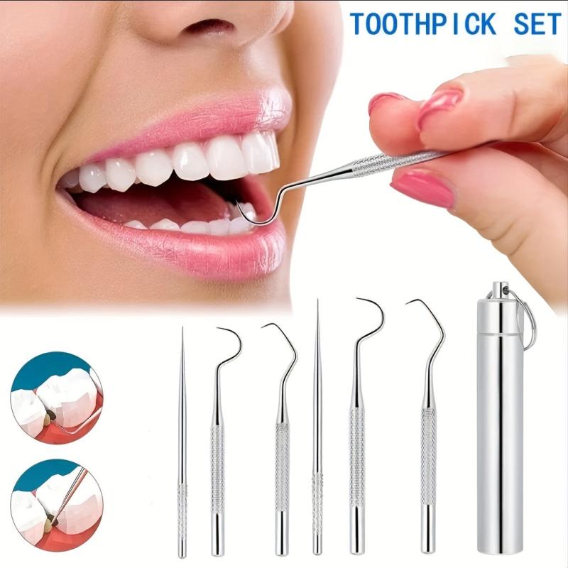 6 Pcs Stainless Steel Toothpick Set with Storage Tube