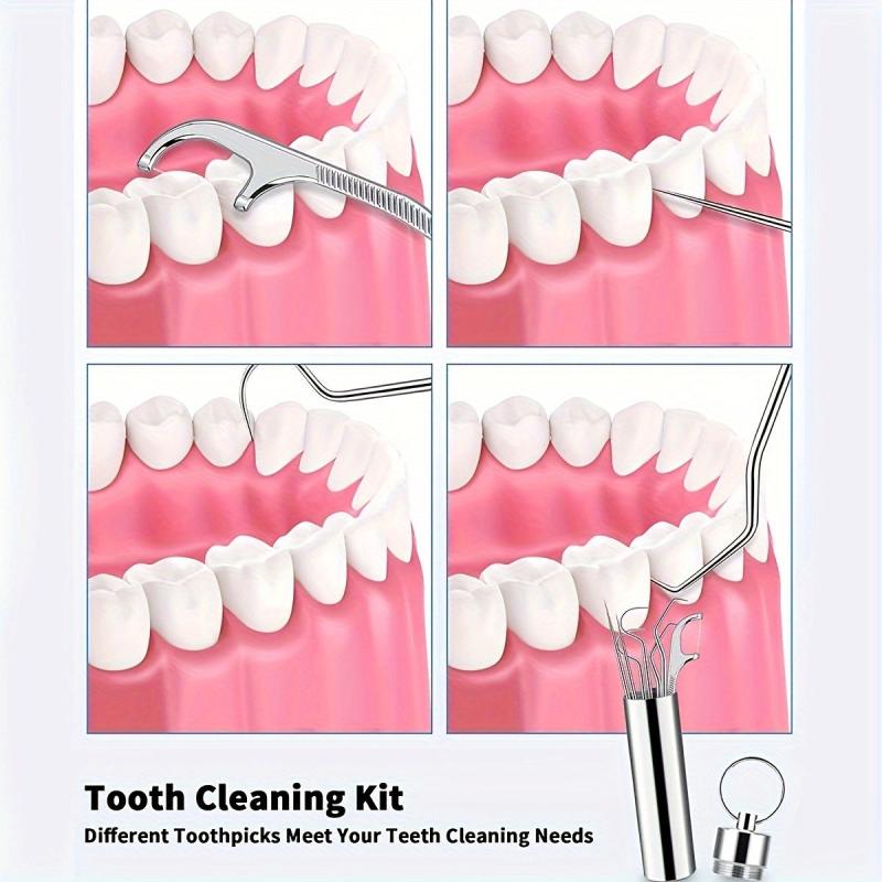 Reusable Metal Toothpick Floss Pick Kit with Keychain Holder