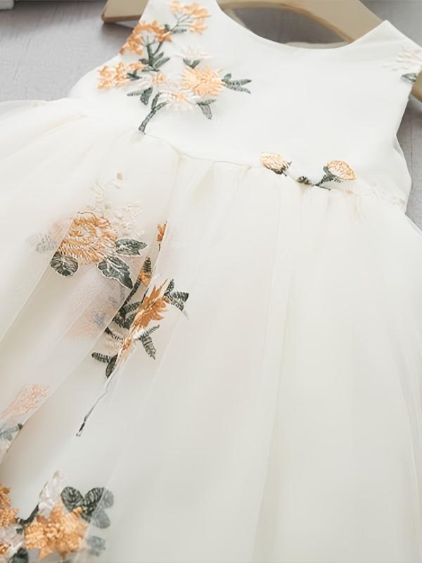 Embroidery Flower Lace Gauze Dress for Girls Kids