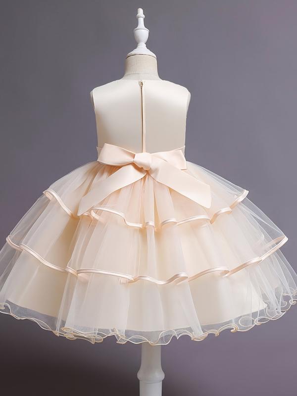 Girls Princess Dress Flower Embroidery Tutu Dress Performance Dress