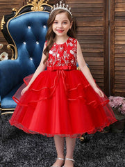 Girls Princess Dress Flower Embroidery Tutu Dress Performance Dress
