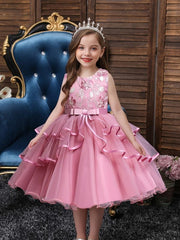 Girls Princess Dress Flower Embroidery Tutu Dress Performance Dress