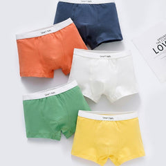 Toddler Boys Boxer Briefs Cotton Kids Underwear Pack Of 5