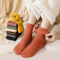 4 Pairs Winter Warm Socks Thermal & Thick Snow Socks for Women