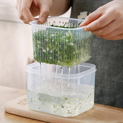 Reusable Vegetable Storage Box Fruit Garlic Holder
