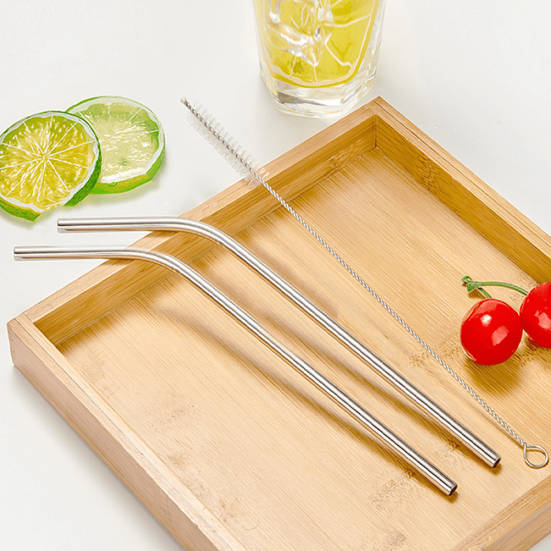 Eco Stainless Steel Straw Set - 3pcs with Cleaning Brush