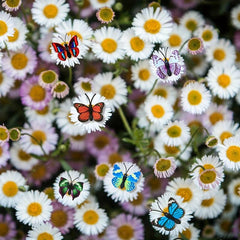20pcs Butterfly Push Pins Colorful Decorative Push Pins