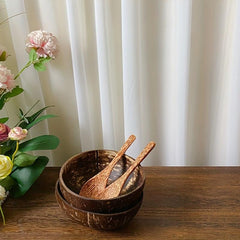 1pc Coconut Shell Bowl with Spoon Creative Salad Bowl Cereal Bowl