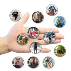 12pcs Glass Dog Fridge Magnets Personalized Decorative Office Kitchen School