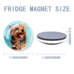 12pcs Glass Dog Fridge Magnets Personalized Decorative Office Kitchen School