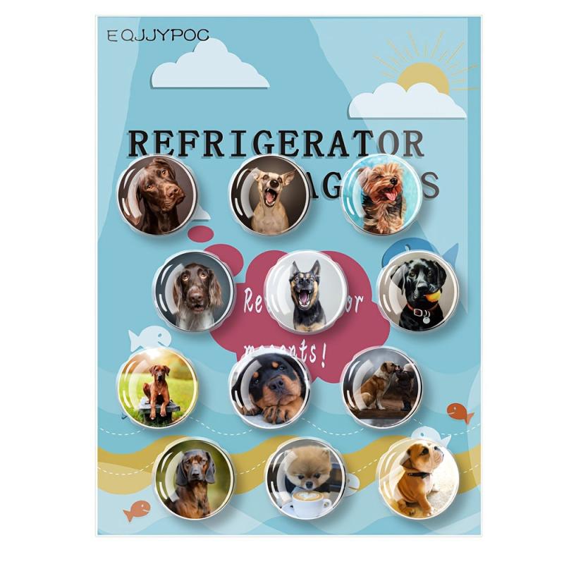 12pcs Glass Dog Fridge Magnets Personalized Decorative Office Kitchen School