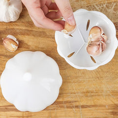 Garlic Preservation Box Onion Sealing Box