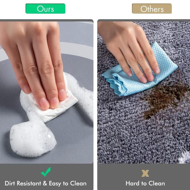 Quick Dry Bath Mat with Tiny Pores Bathroom Floor Mat