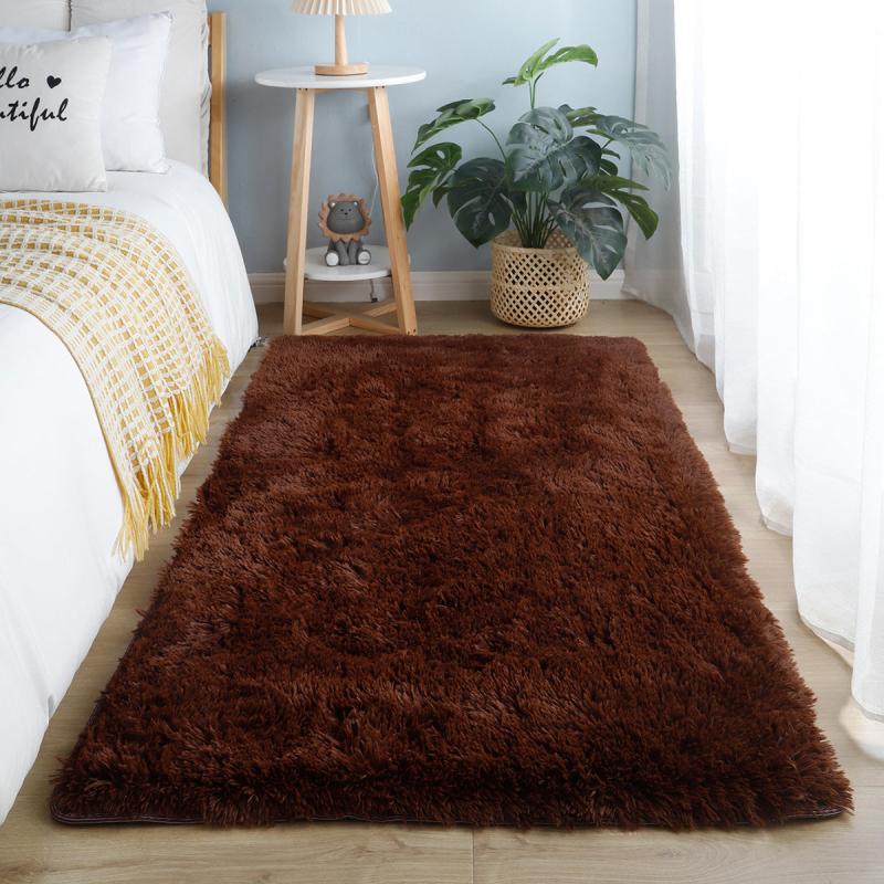 Soft Plush Area Rug 31.5 X 62.9 Non-slip Shaggy Fluffy Carpet