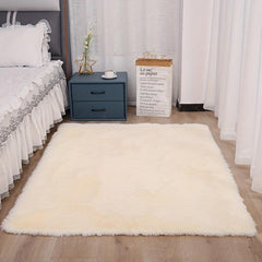 Soft Plush Area Rug for Bedroom Living Room