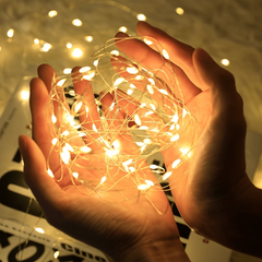 Waterproof Fairy String Lights 50/100LED Operated Copper Wire Decorative Light