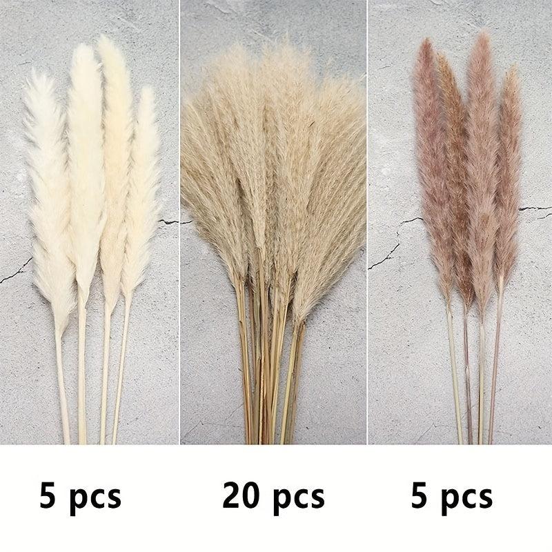 50pcs Rustic Pampas Grass Boho Decor for Weddings and Parties