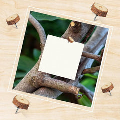 80pcs Wood Push Pins Decorative Thumb Tacks for Cork Boards and Maps