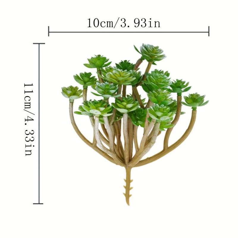 Realistic Succulent Plant for Balcony and Home Decor