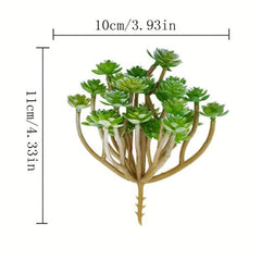 Realistic Succulent Plant for Balcony and Home Decor